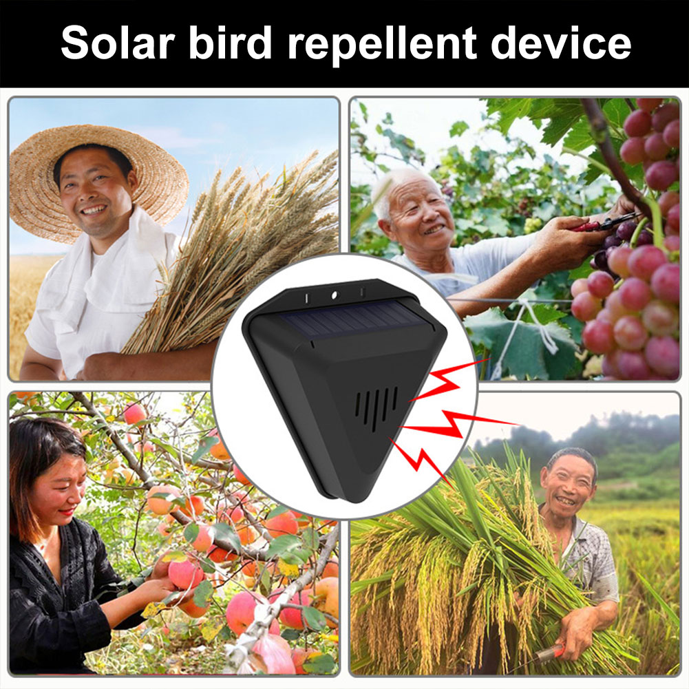 Solar Bird Repeller with 13 So - đánh giá và giá Solar Panel Monocrystalline